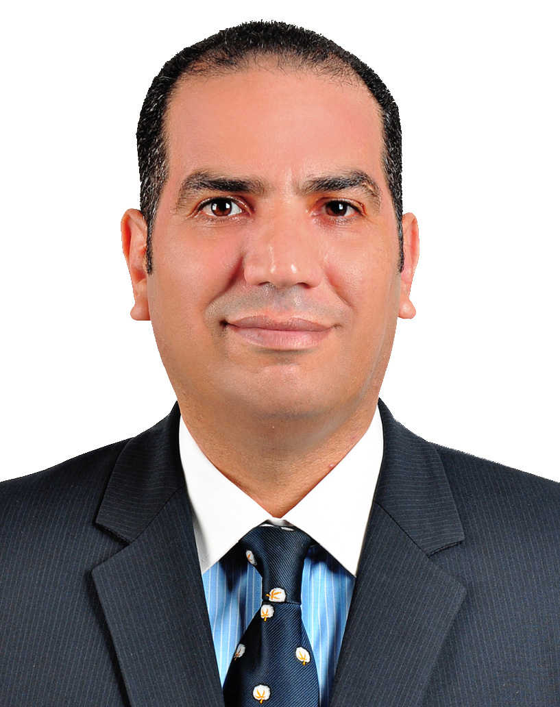 Prof. Dr. Mohamed A. M. Negm
